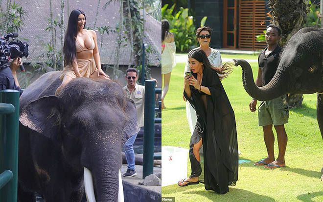 Kim Kardashian khoe trọn vẹn đường cong cưỡi voi ở Bali nhưng đây mới là điều được chú ý nhất