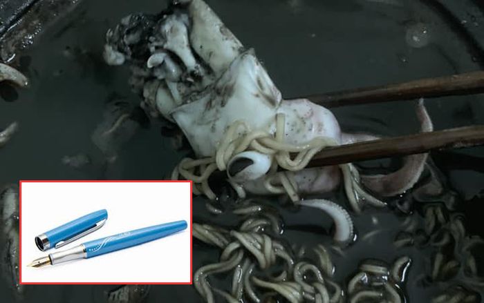 Chồng khóc ròng nhìn bát mỳ mực vợ nấu, dây mạng khuyên lấy bút mà bơm nước mỳ cho con mang đi học