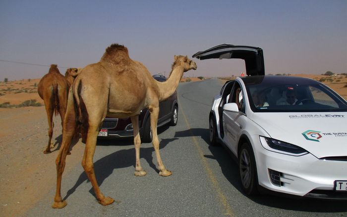 12 luật lệ giao thông 'thật mà như đùa' trên thế giới, nhiều cái nghe xong bạn sẽ phì cười