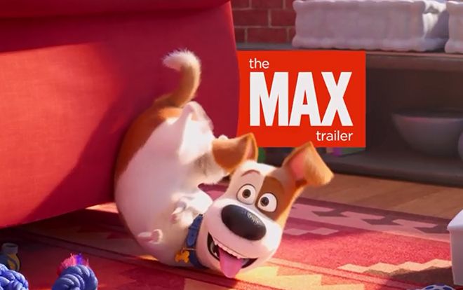 'Đẳng cấp thú cưng 2' tung trailer đầu tiên, chú chó Max khiếp sợ trước những căn bệnh lạ trong phòng khám thú y