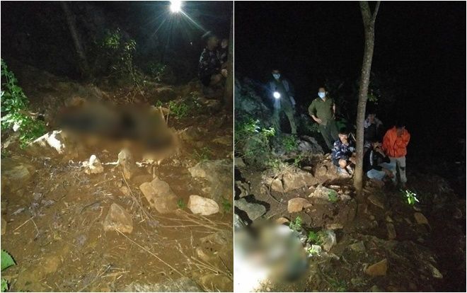 Thi thể nam giới không còn nguyên vẹn ở Thanh Hoá nghi bị lợn rừng rỉa thịt