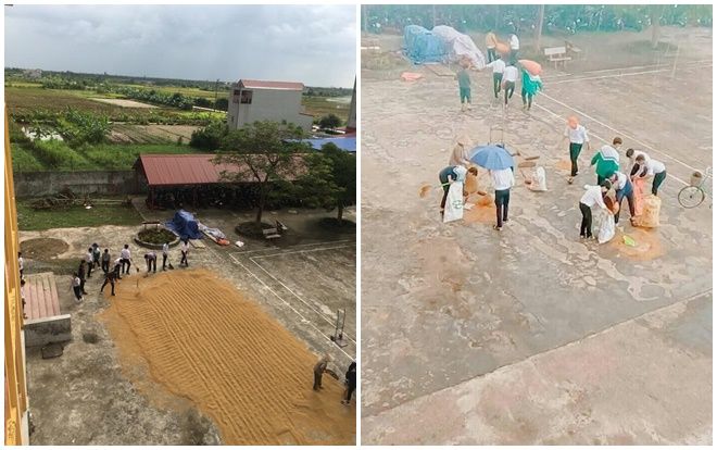 Bức ảnh đẹp nhất hôm nay: Học sinh THPT chịu cảnh 'ướt như chuột' để giúp bác bảo vệ chạy thóc