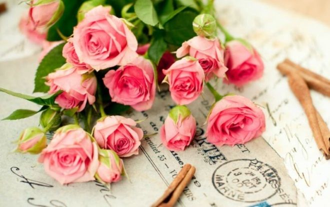 Ngày Nhà giáo Việt Nam 20-11 và những điều có thể bạn chưa từng nghe đến