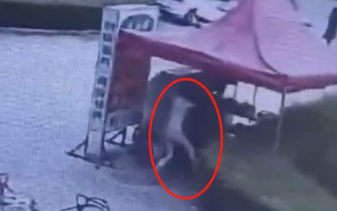 Phàn nàn đồ ăn không ngon, thực khách bị đầu bếp dội cả nồi nước sôi vào người