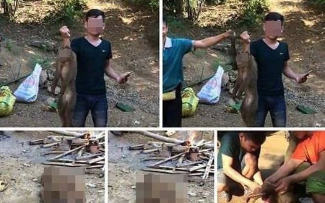 Triệu tập nam thanh niên khoe ảnh giết khỉ hoang 'tiếp bạn' trên facebook gây xôn xao dư luận