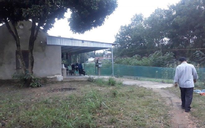 Truy tìm chủ nhân thực sự của lô hàng 'nhập khẩu' 10 tấn ngà voi và vảy tê tê vừa bị bắt giữ ở Đà Nẵng