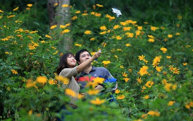 Du khách đổ về ngắm hoa dã quỳ ở núi rừng Ba Vì