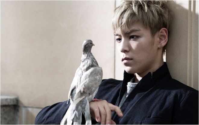 Có thể bạn chưa biết: Đúng tháng 11 năm nay, lẽ ra T.O.P (BigBang) đã xuất ngũ