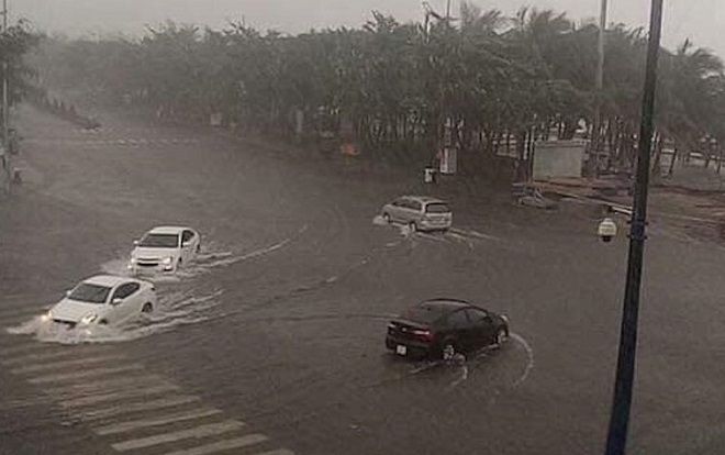 Toàn cảnh Vũng Tàu tan hoang sau cơn bão số 9, cây xà cừ hơn 100 tuổi cũng bị bật gốc