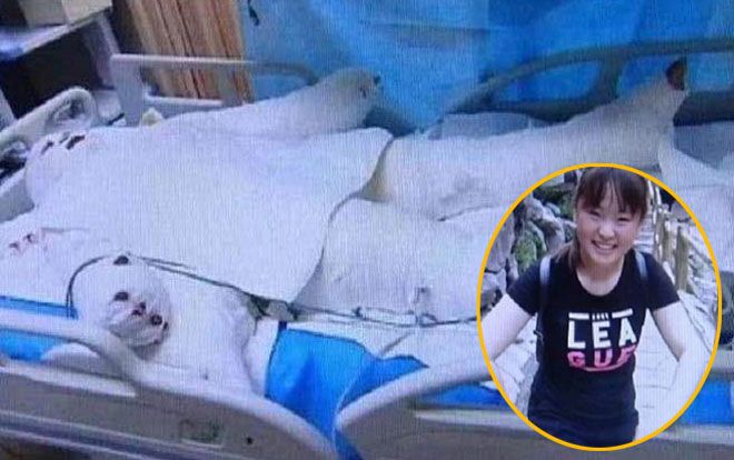 Con gái bị bỏng 80% cơ thể, người cha khẩn nài bác sĩ làm điều này khiến ai nấy đều xúc động