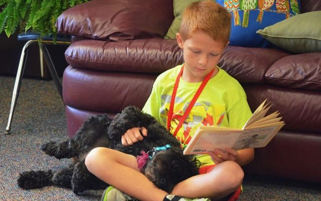 Chuyện lạ nhưng có thật: Trường ĐH đầu tiên trên thế giới dùng chó để giúp sinh viên học tốt hơn