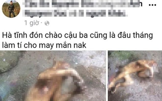 Lại thêm một thanh niên Hà Tĩnh 'khoe' ảnh giết khỉ lên mạng xã hội
