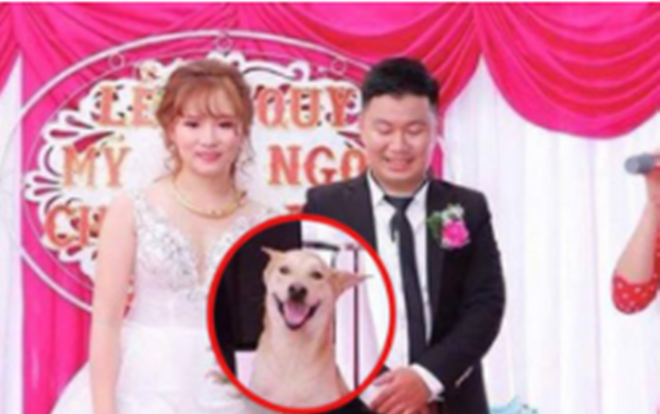 Mừng rỡ vì 'sen' thoát ế, 'boss cưng' nhảy vào chụp ké ảnh cưới khiến dân mạng cười nghiêng ngả