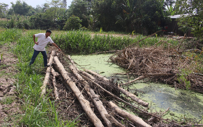 Vụ nữ MC xinh đẹp ở An Giang bị sát hại: Lời khai quá sốc từ nghi phạm