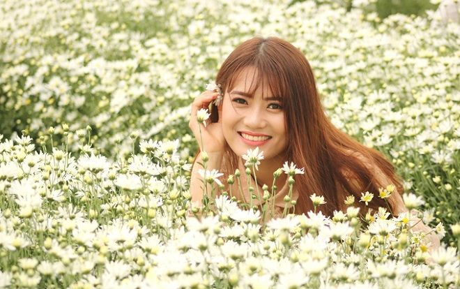 Hộ dân ở Hải Dương kiếm tiền triệu mỗi ngày nhờ vườn cúc hoạ mi
