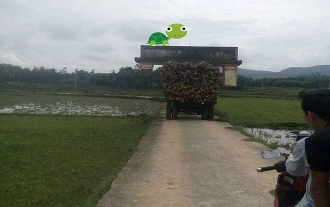 Hi hữu ở Quảng Nam: Xe công nông chở keo cuốn luôn… cổng chào của làng mà tài xế vẫn không hay biết