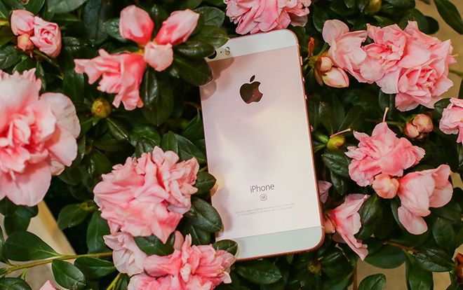 Đây là sai lầm lớn nhất Apple đã mắc phải trong năm qua với iPhone