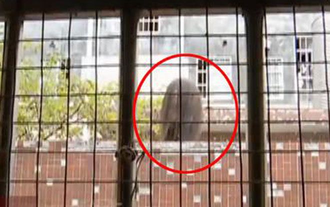 Mở cửa sổ phòng ngủ giữa đêm, cặp đôi 'sợ rớt tim' khi thấy 'đầu người' bên ngoài