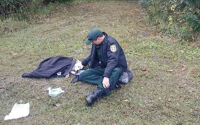 Xúc động hình ảnh cảnh sát an ủi chú chó bị tai nạn giao thông