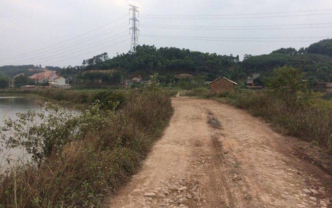 Vụ người phụ nữ bán cá bị hai tên cướp chặn xe sát hại, cướp túi xách: Người đi cùng nạn nhân phải nhập viện cấp cứu