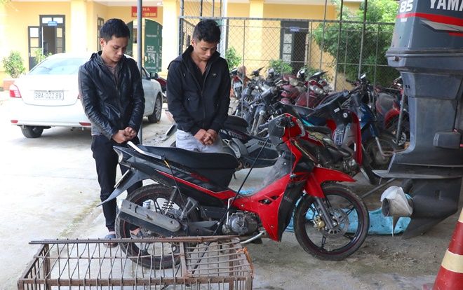 Hai anh em ruột cùng nhau đi trộm chó về bán cho… mẹ vợ