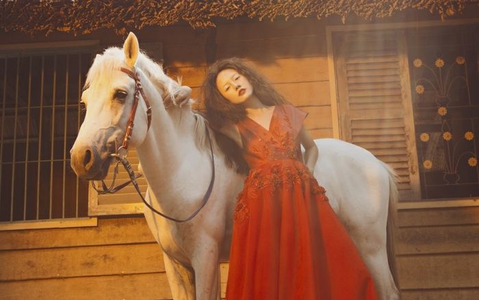 Rima Thanh Vy hóa 'người khổng lồ', cưỡi ngựa gỗ chụp ảnh trước thềm năm mới