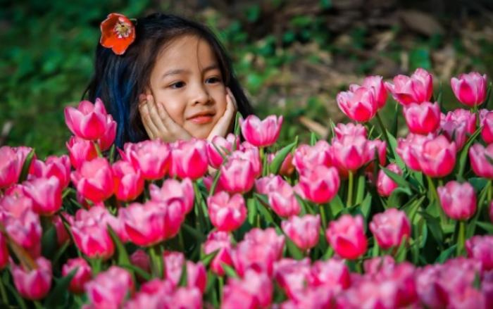 Ngắm trọn bộ ảnh thiên thần nhí 'khoe sắc' cùng hoa tulip Hà Lan