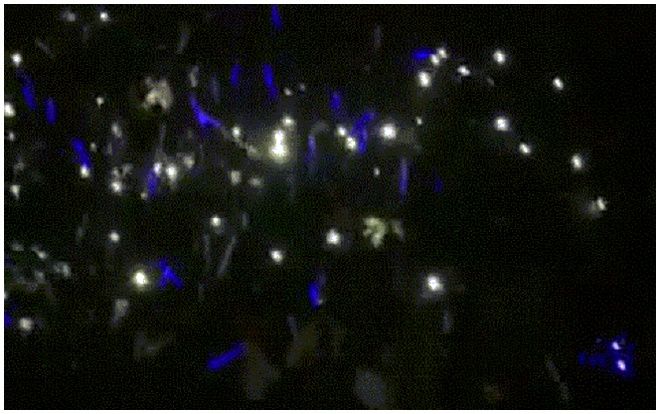 Học sinh 'quẩy' Haru Haru cực sung, biến chương trình cuối năm của trường thành concert BigBang phiên bản nhỏ