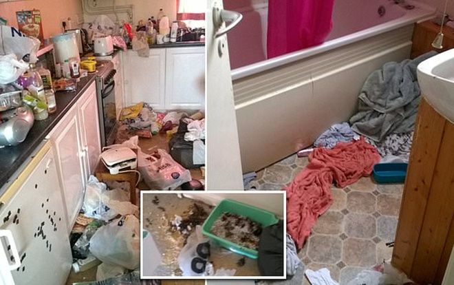 Căn nhà ngập rác cùng chất thải khiến ai nhìn cũng sốc và câu chuyện gây phẫn nộ phía sau