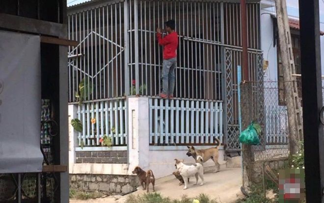 Trò chơi nguy hiểm nhất của trẻ em Việt Nam: Nghịch dại trêu chó và cái kết không thể đắng hơn