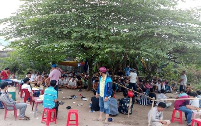 Gần 100 cảnh sát vây ráp trường đá gà bắt quả tang 120 con bạc ở Sài Gòn