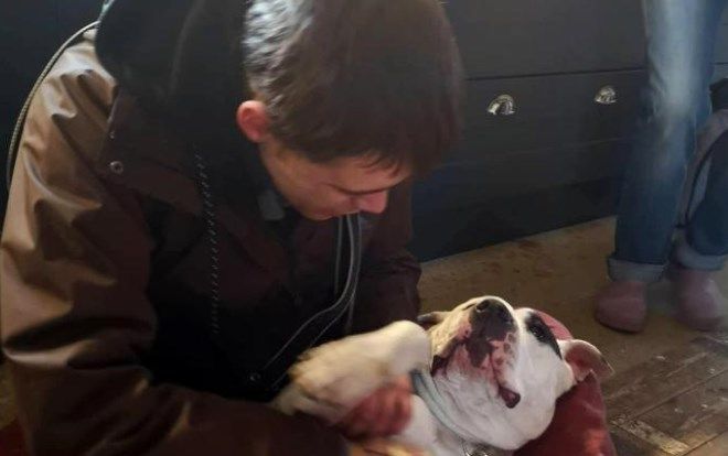 Ấm lòng cảnh chàng trai vô gia cư đoàn tụ với chú chó cưng mất tích một tuần