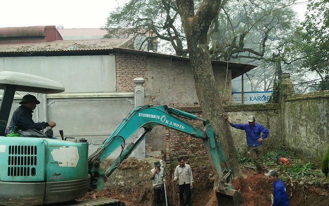 Vụ chặt cây sưa trăm tỷ ở Hà Nội: Khúc rễ tách đôi dân làng mất ngay chục tấn thóc