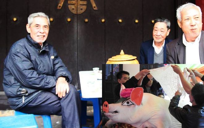 Chuyện về những ‘ông lợn’ được chủ đối xử như người nhà, cho ăn cháo gạo nếp và mắc màn khi đi ngủ