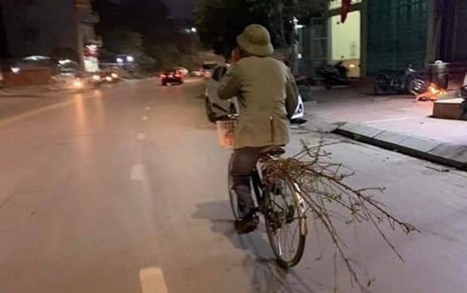 Ngọt ngào như tình yêu của cụ ông dành cho vợ: Vừa đạp xe chở cành đào vừa hô ‘Bà nó ơi tôi sắm được đào Tết rồi’