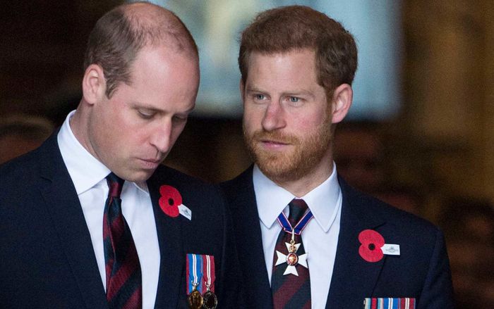Bí mật sốc về việc kế vị ngôi vương của hai anh em William-Harry