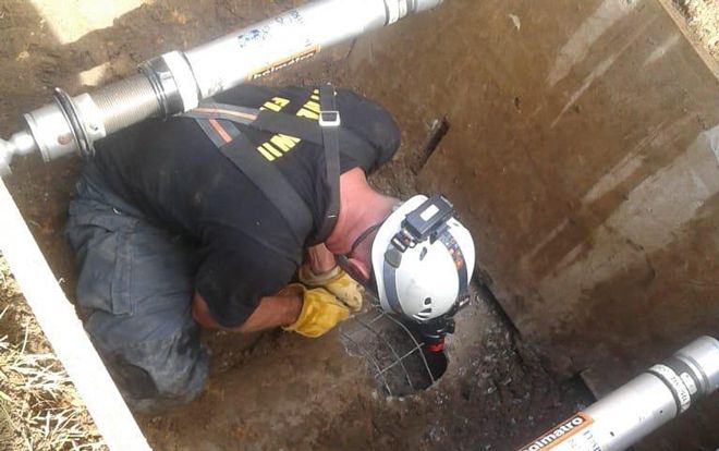 Tưởng mèo rơi xuống cống thoát nước, người dân dọi đèn soi thì phát hiện sự thật kinh hoàng này