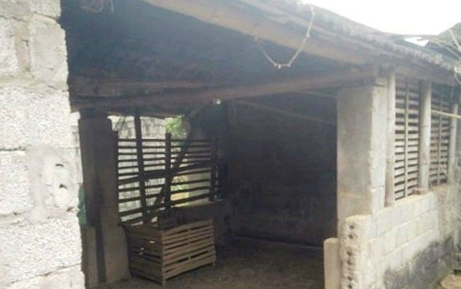 Tá hỏa phát hiện Trưởng Công an tử vong trong tư thế treo cổ tại chuồng trâu