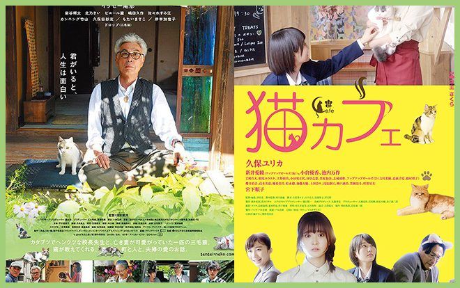 Tuyển tập những bộ phim Nhật Bản đậm đà tình cảm giữa người và mèo (Phần 2)