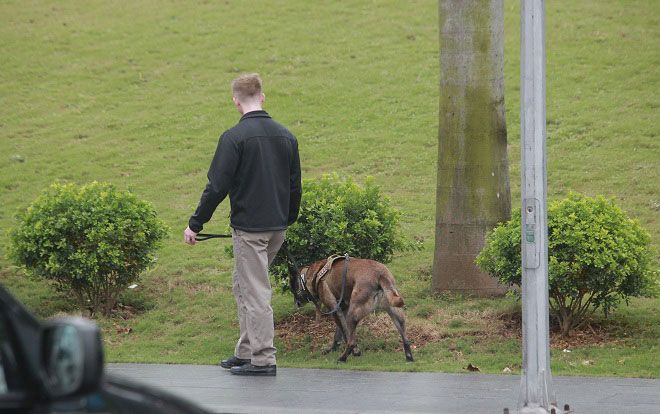 Đội cảnh khuyển: 'Người hùng 4 chân' không thể vắng bóng trong mỗi chuyến công du của Tổng thống Mỹ