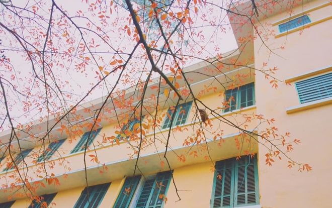 Ảnh đẹp đến mức khó tin được chụp ở trường học: Lá non và mưa xuân đã biến hình giảng đường thế này đây