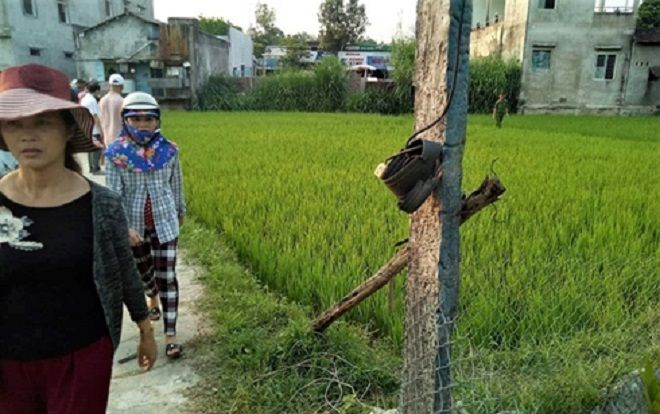 Quảng Nam: Rủ nhau ra đồng bẫy chuột, hai vợ chồng bị điện giật, một người tử vong tại chỗ
