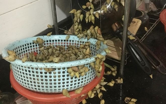 Được chị gái đem đặc sản quê lên thăm nào ngờ qua 1 đêm, cô gái hốt hoảng vì thấy cảnh kinh sợ