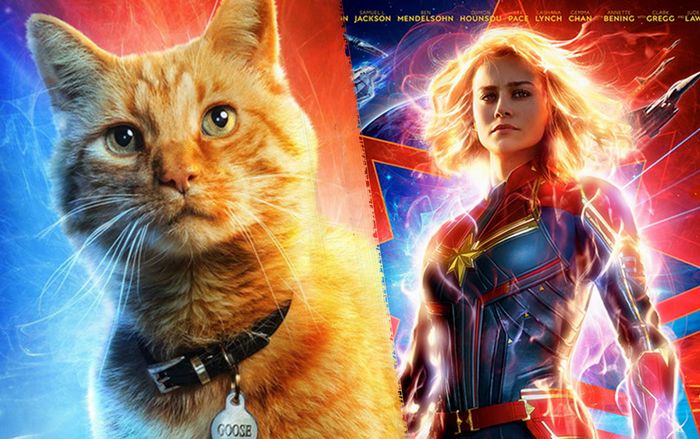 Captain Marvel và con Mèo - Vựa muối mới của Avengers