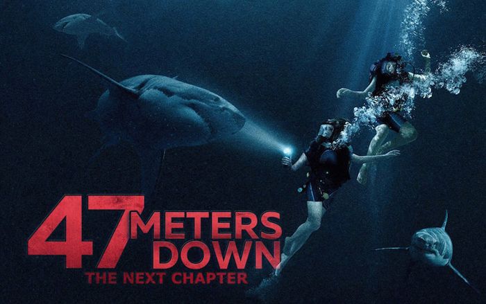 Phần tiếp theo của '47 Meters Down' bị lùi lịch chiếu lại 2 tháng