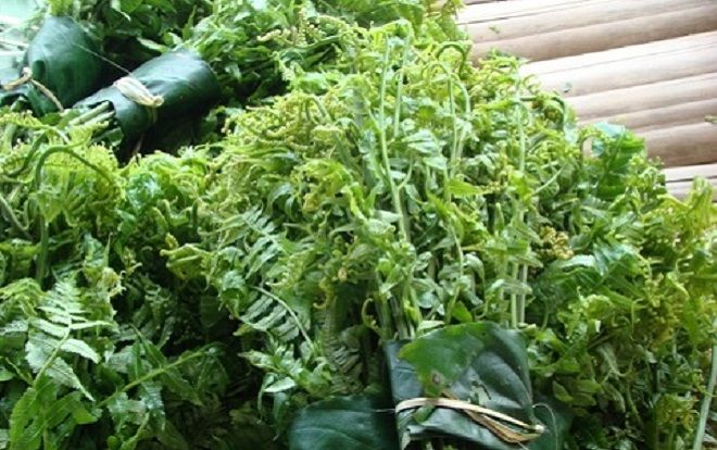 Rau dớn, bò khai, tầm bóp giá 'đắt cắt cổ' đang 'cháy hàng' ở Thủ đô