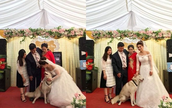 'Đại boss' chiếm trọn spotlight khi tranh đứng giữa khung hình chụp ảnh cùng cô dâu trong ngày cưới