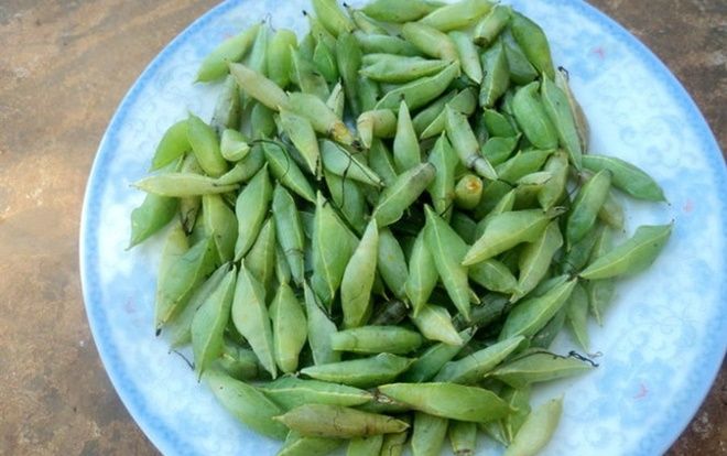 Món côn trùng chị em kinh sợ tránh xa lại là đặc sản 'vạn người mê'