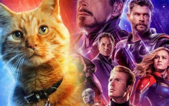 Hoá ra, sự chú ý của các anh hùng trong Avengers: Endgame đã va phải ánh mắt của Goose!