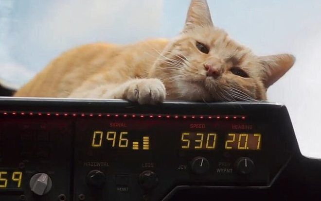 Dân tình thi nhau đề nghị một phần phim ngoại truyện dành cho 'bé Ngỗng' trong 'Captain Marvel'!